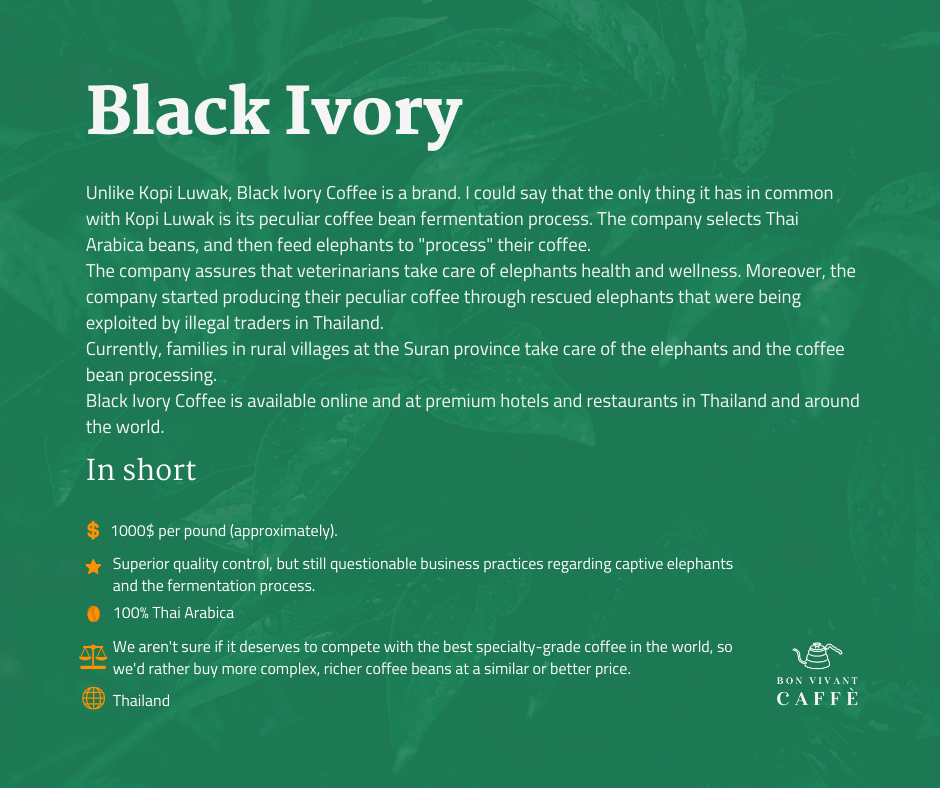 Black Ivory Coffee