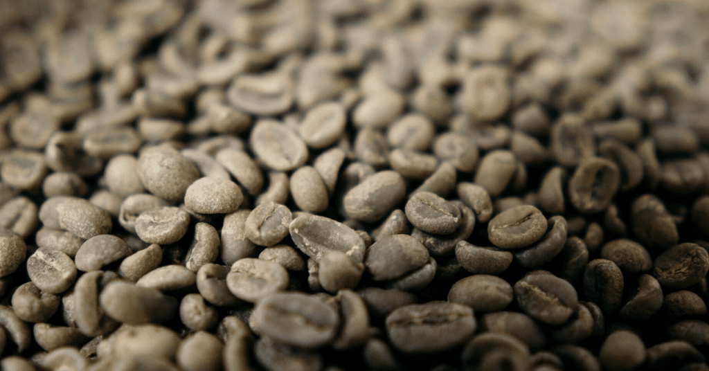 Green coffee beans before roasting.